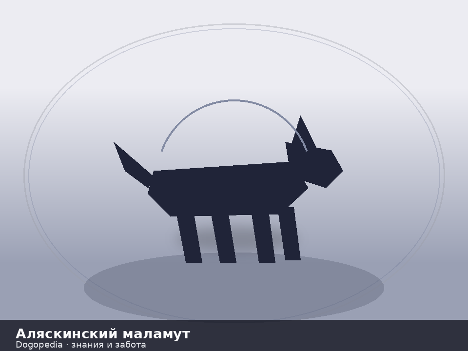 Аляскинский маламут — иллюстрация Dogopedia